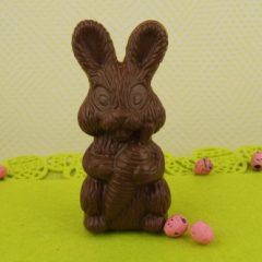 Chocolate Bunny with Carrot